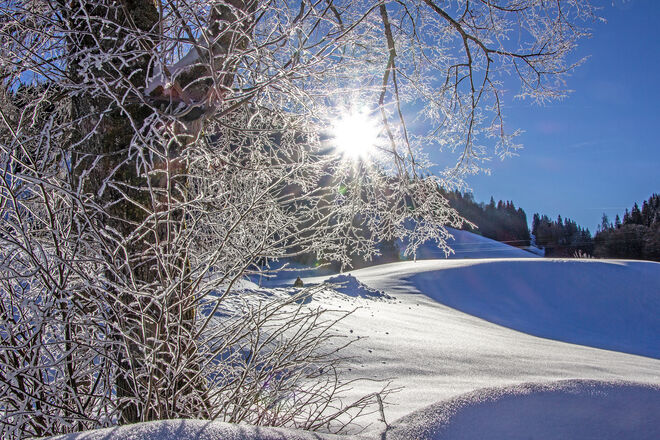 Glitzernder Schneevorhang in Heutal