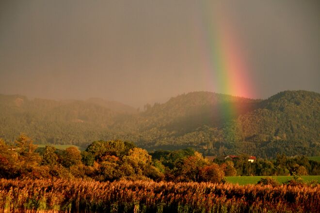 Der farbenprächtige Regenbogen gestern am Wallersee