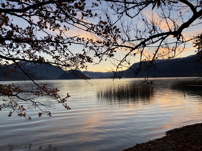 Morgenstimmung