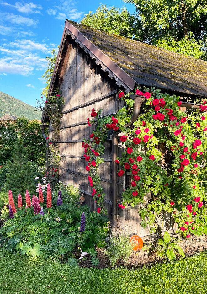 Gartenidylle