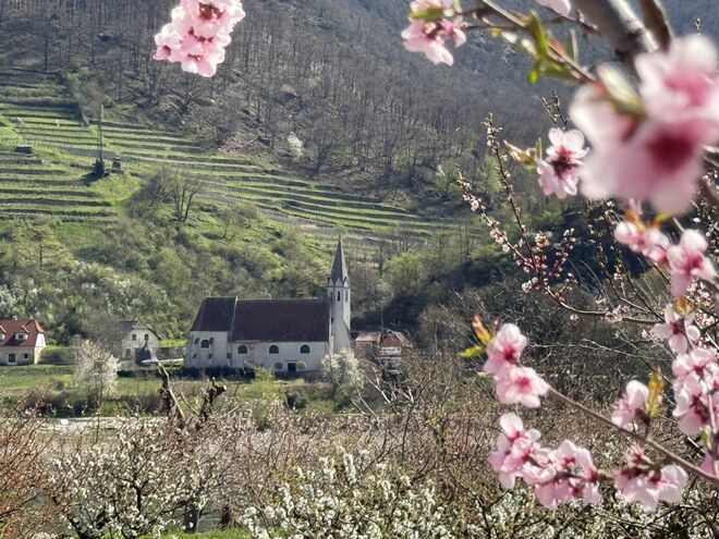 Kirche St.Johann