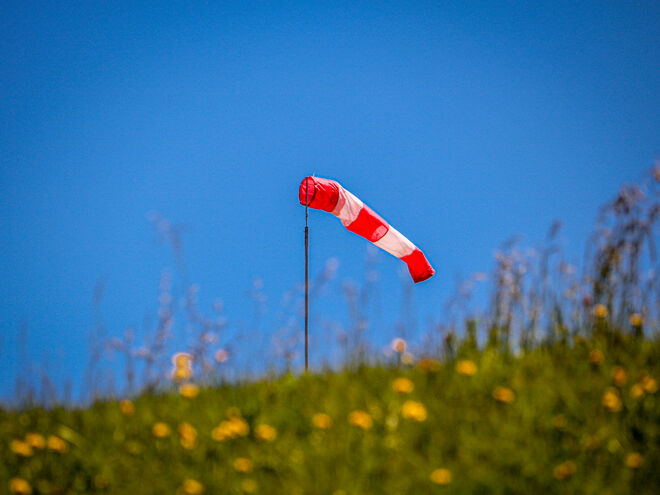 Mal schauen, woher der Wind kommt...