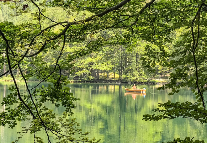 Idylle