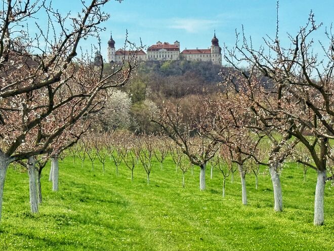 Stift Göttweig
