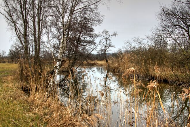 Spaziergang im Naturschutzgebiet am Grabensee