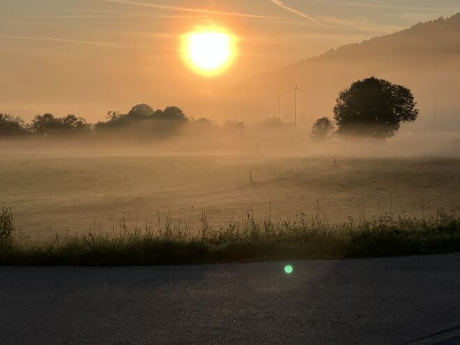 Morgenstimmung