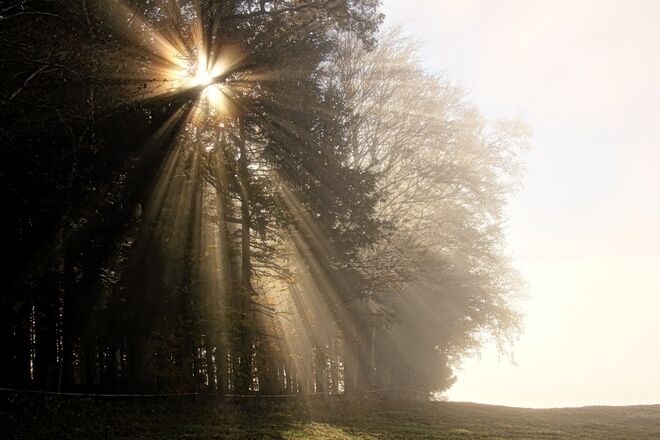 Faszinierende Lichtstimmung heute vormittag am Tannberg