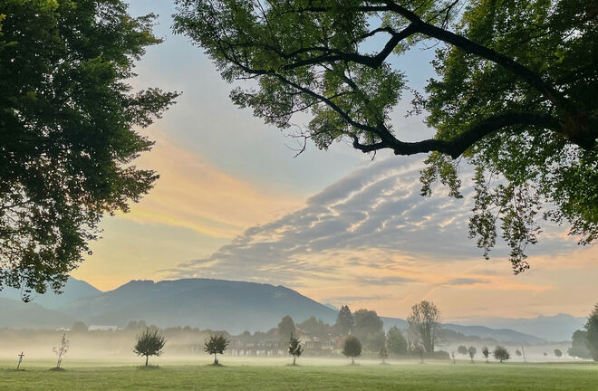 Heute früh