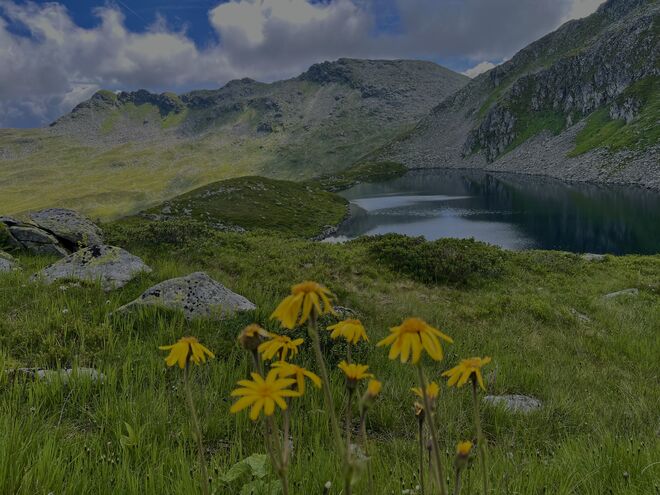 Still ruht der See