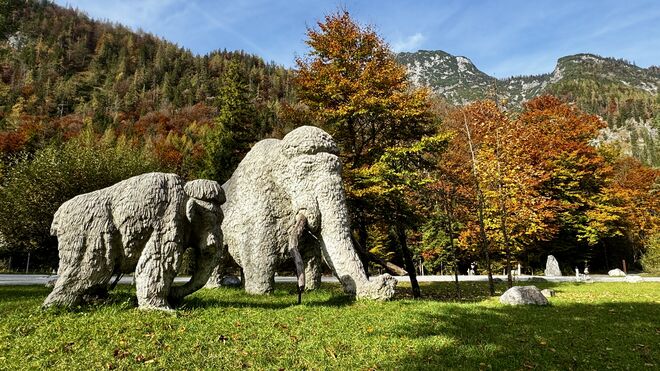 Pinzgauer Mammut‘s
