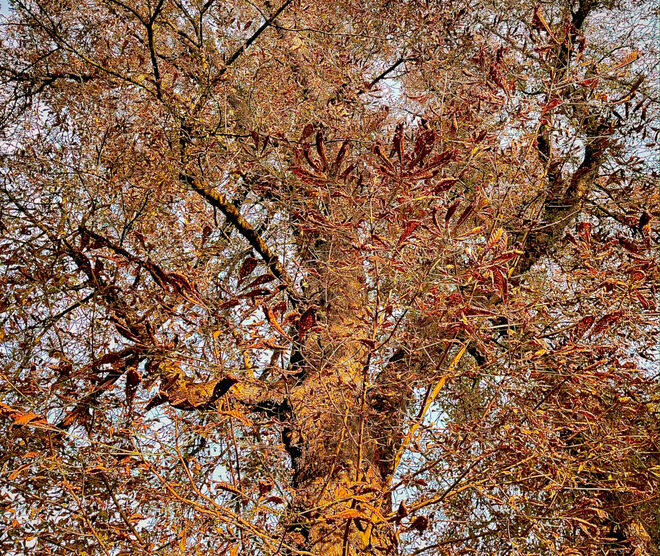 Der Herbst ist gekommen