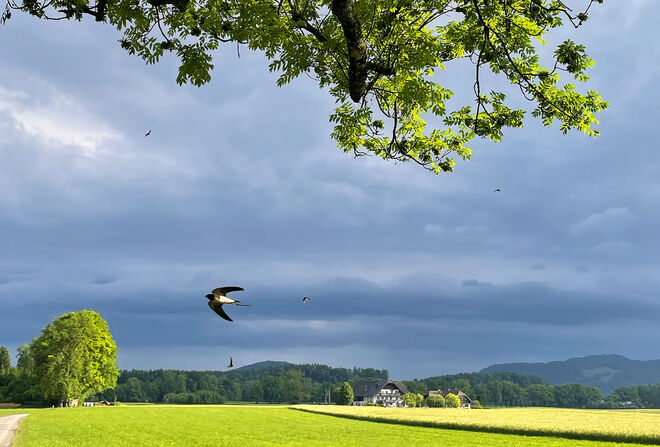 Noch schneller unterwegs