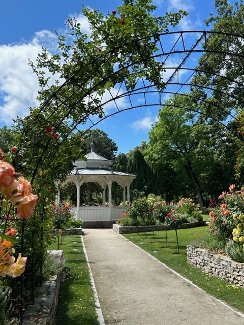 Stadtpark in Wiener Neustadt