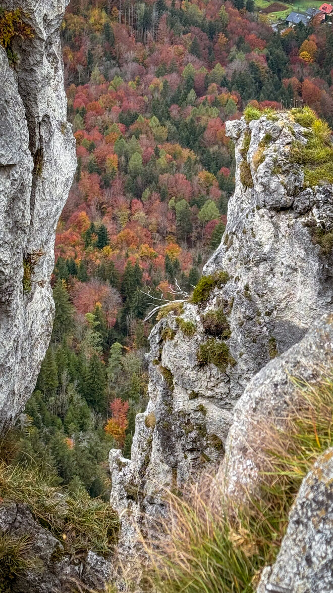 Herbstliche Farbenpracht