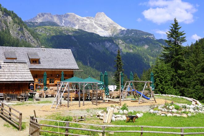 Moosalm im hinteren Riedingtal