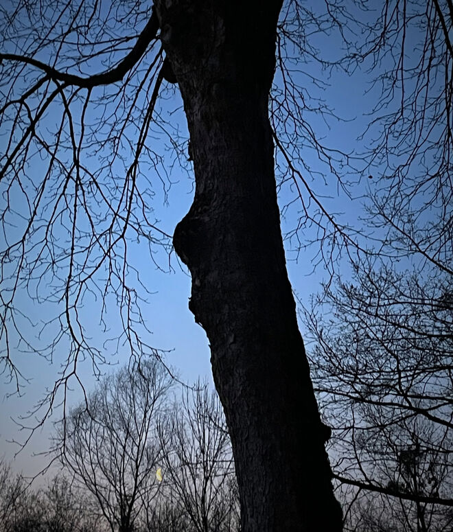 Augenaufschlag und Kussmund