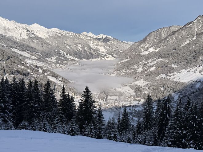 Talausblick