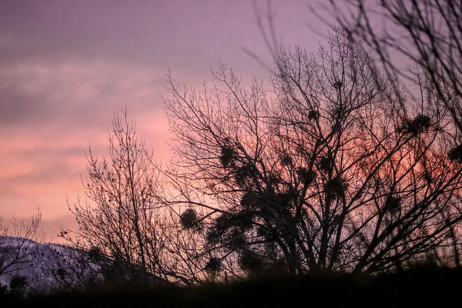 Am Ende des Tages...