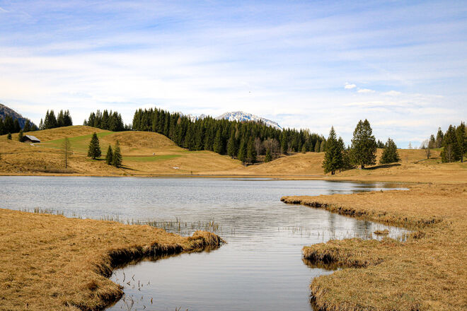Beste Zeit um rund um den Seewaldsee zu gehen...