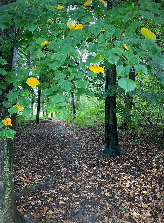 Herbstweg