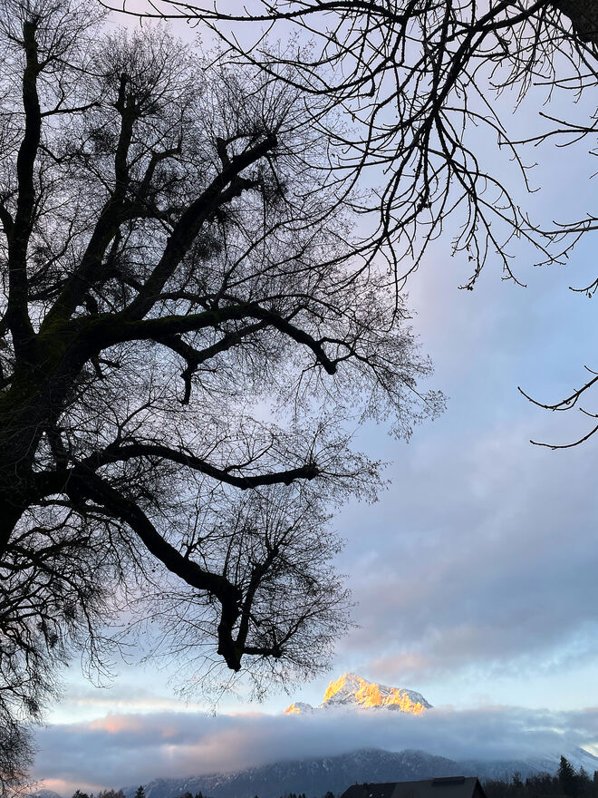 In der Morgensonne