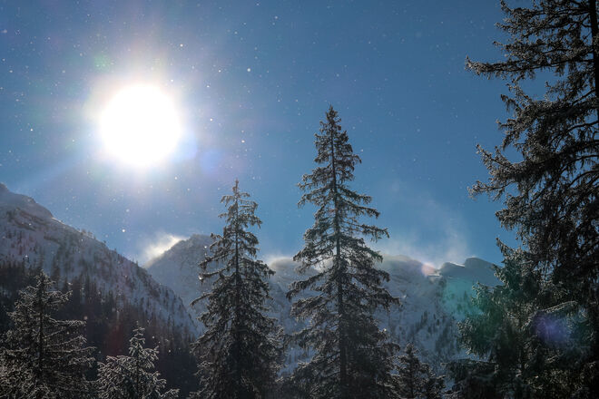 Wintertraum...