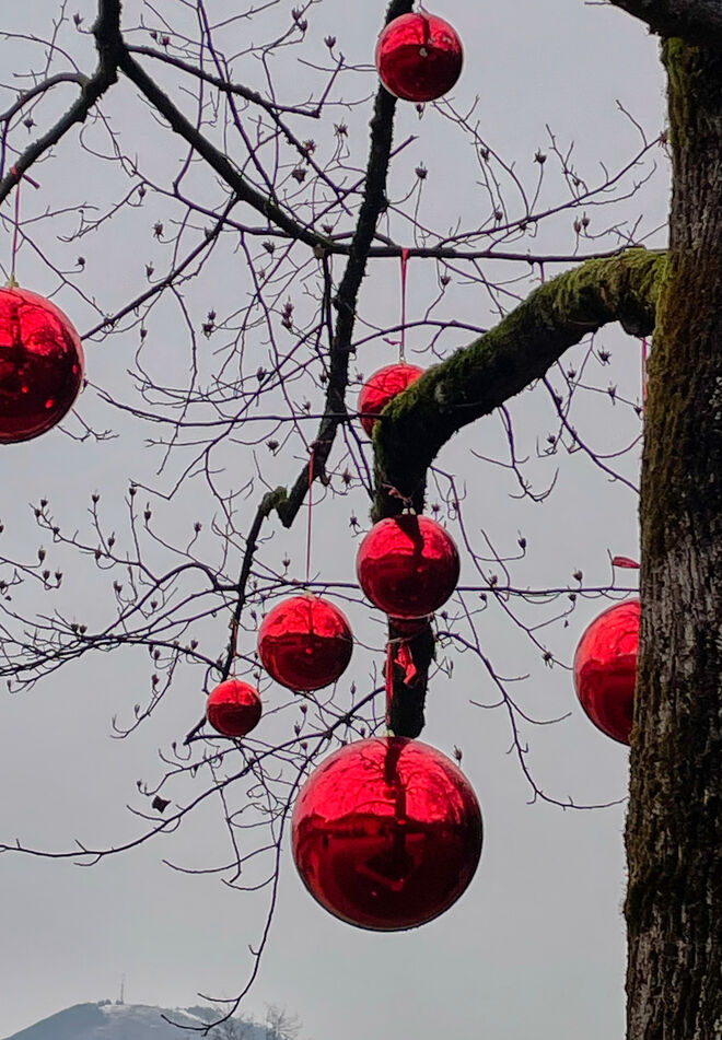 Adventzauberwahrzeichen