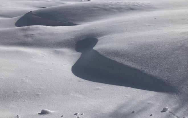 Ein Schneegespenst huscht übers Feld