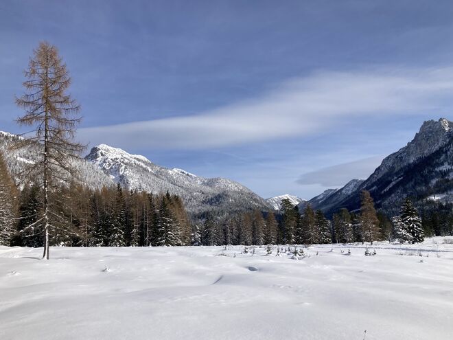 Wintertraum