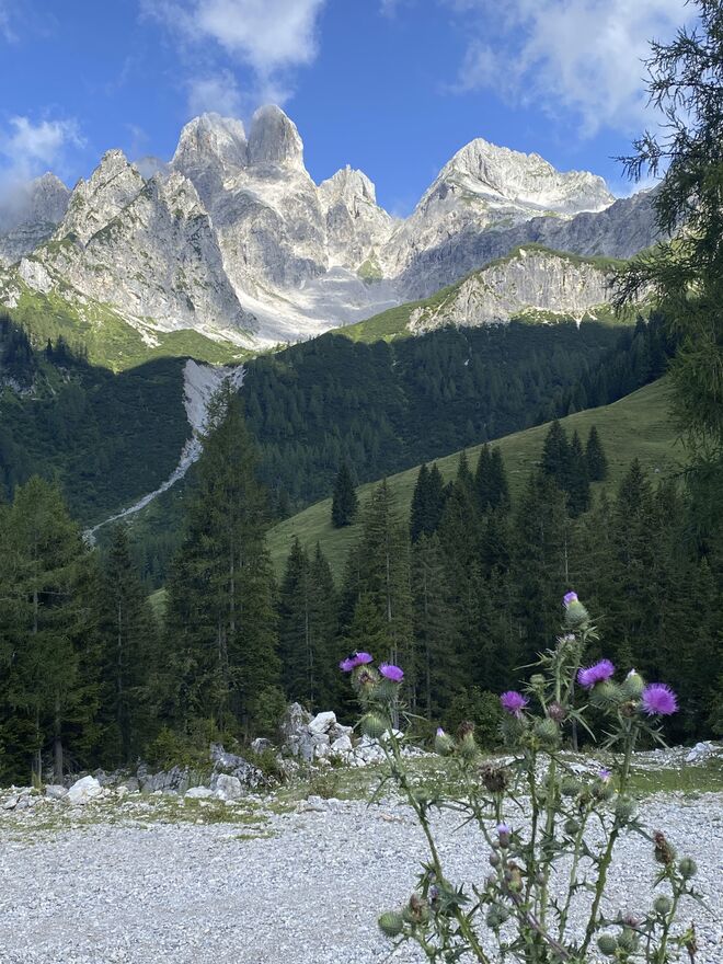 Blick zur Bischofsmütze