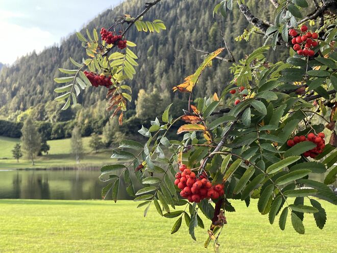 Frühherbstlich