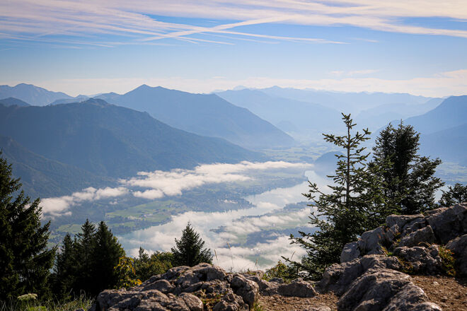 Frühnebel...