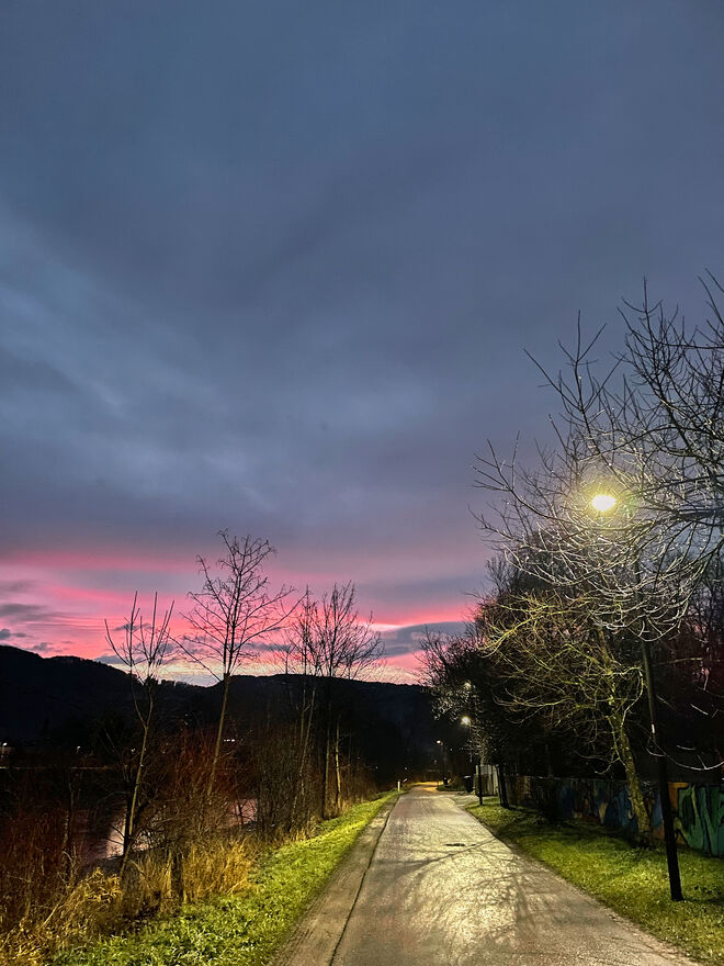 Frühmorgens am Trepplweg