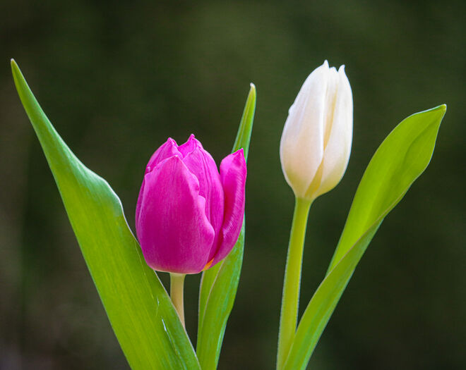Hallo Frühling!