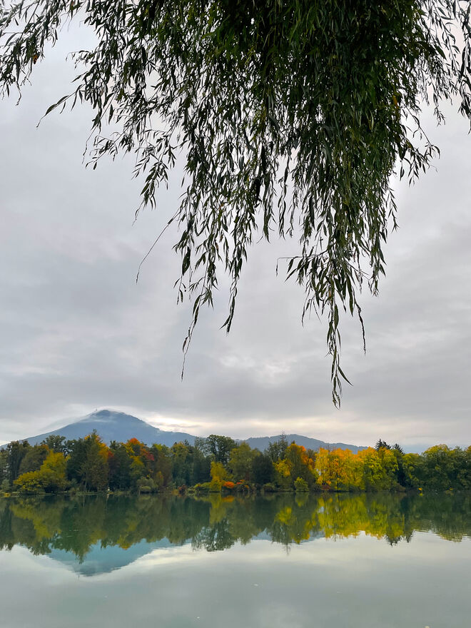 Herbstimpression vom Lepiweiher
