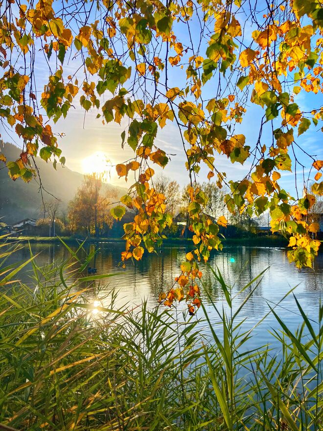 herbstlicher sunset am Zierteich