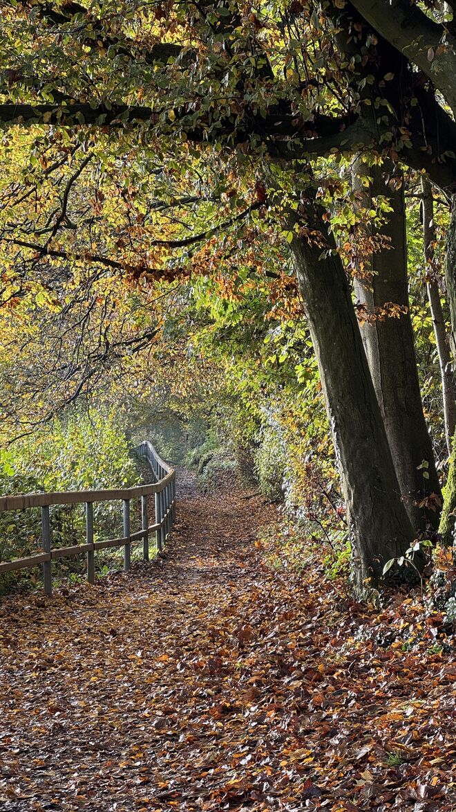 Herbstzauber