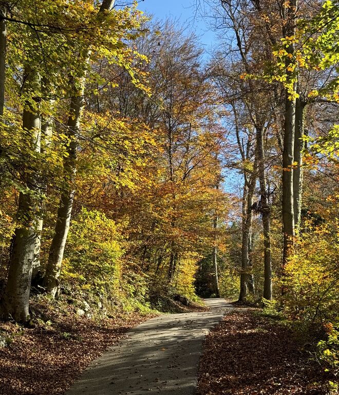 Novemberfarben