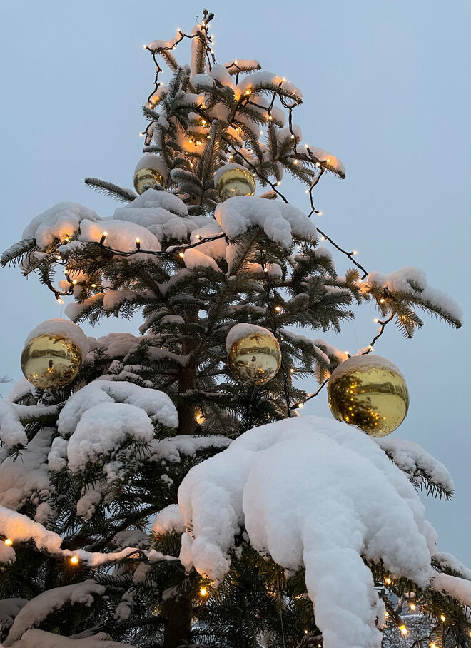 vorweihnachtlich : (