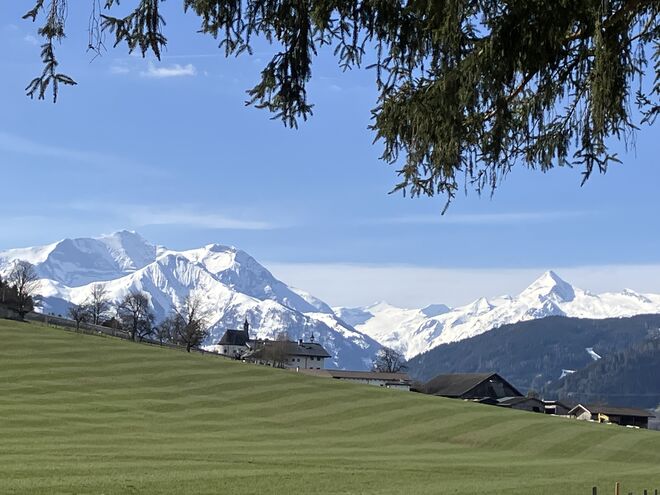Grüne Wiese, frischer Schnee im Gebirge