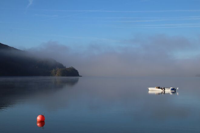 Morgenstille am Wallersee