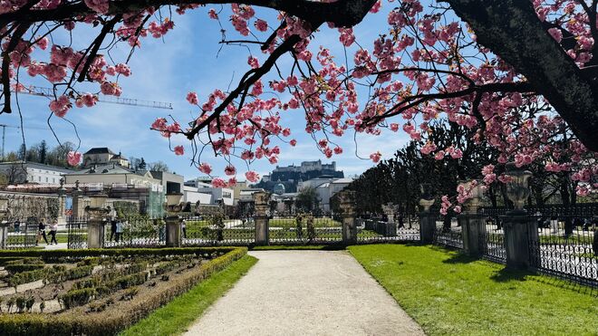 Wunderschönes Salzburg