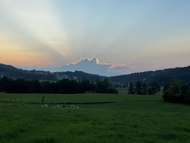 Abendstimmung Fuschlsee