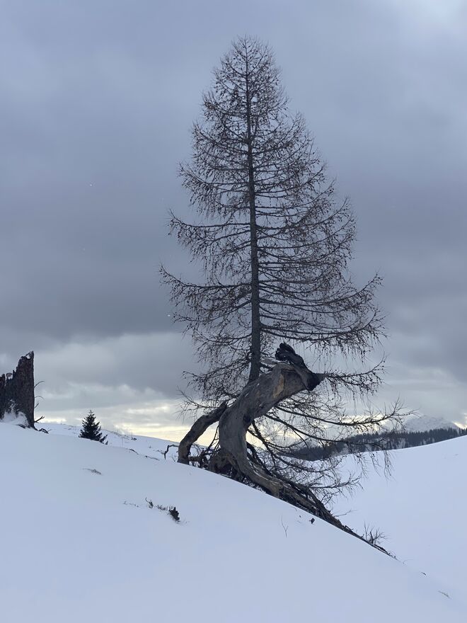 Winterstimmung