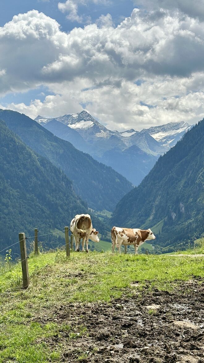 Blick ins Stubachtal