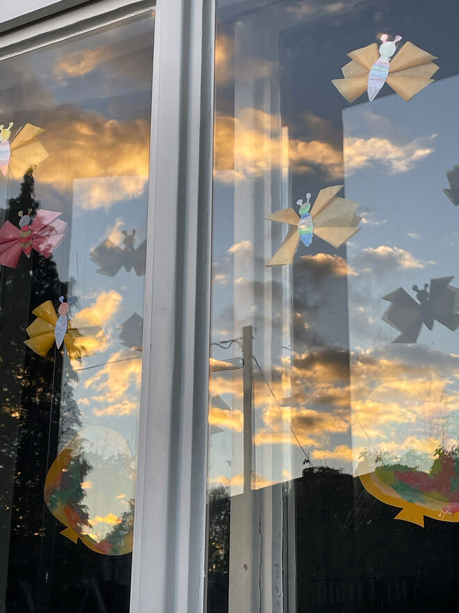 Schmetterlinge am Fenster