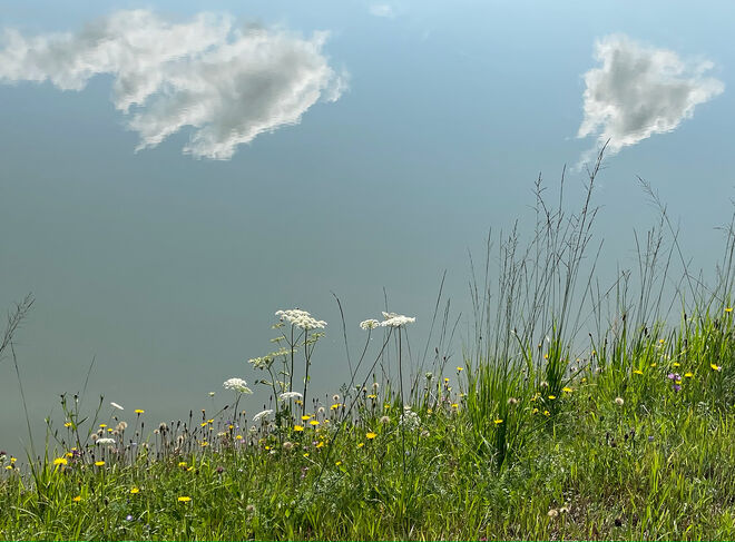 Ein schöner Sommertag