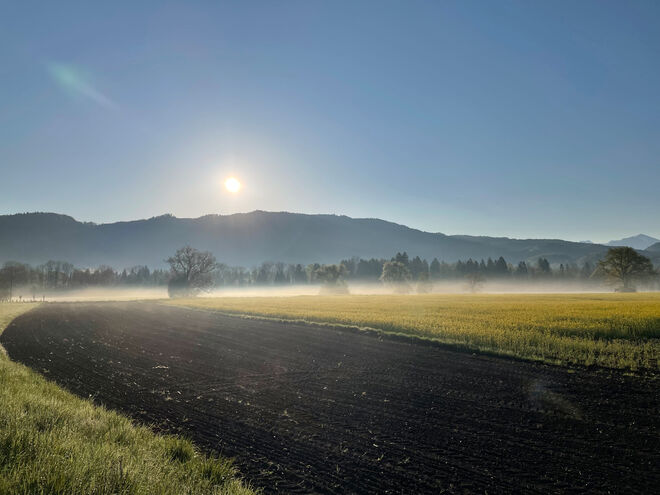 Morgenstund