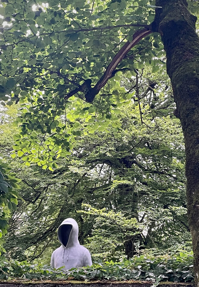 Incognito