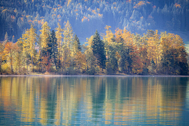Farbenfroher Herbst...